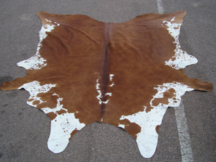 western collectibles-western cowhide 9
