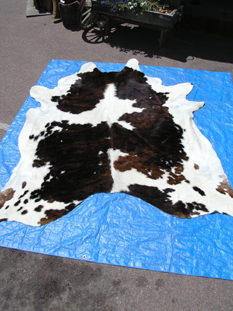 western collectibles-western cowhide 12