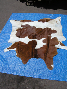 western collectibles-western calf cowhide 25