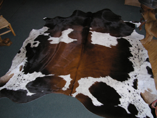 western collectibles-western cowhide 14