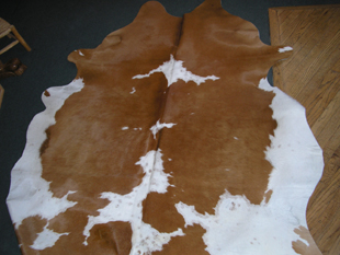 western collectibles-western cowhide 17