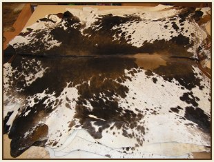 western collectibles-western cowhide 1