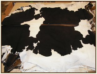 western collectibles-western cowhide 3