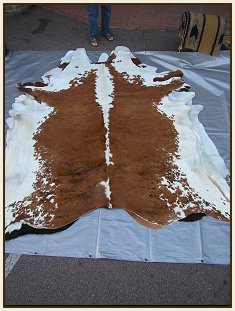 western collectibles-western cowhide 6