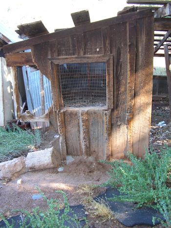 Old Wood, Relics, and Rusty Stuff, Western collectibles