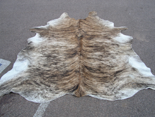 western collectibles-western cowhide 10