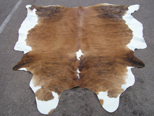 western collectibles-western cowhide 11