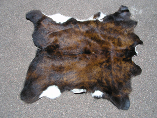 western collectibles-western calf cowhide 21