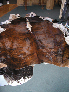 western collectibles-western calf cowhide 28
