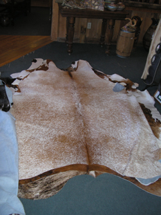western collectibles-western calf cowhide 31