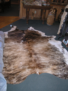 western collectibles-western calf cowhide 34
