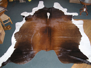 western collectibles-western cowhide 13