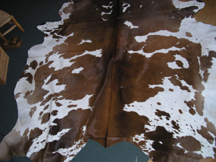 western collectibles-western cowhide 16