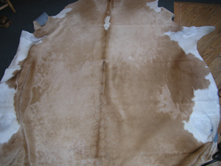 western collectibles-western cowhide 18