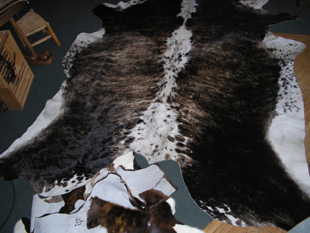 western collectibles-western cowhide 19